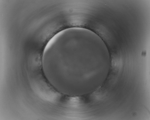 X0000113080411200910091237