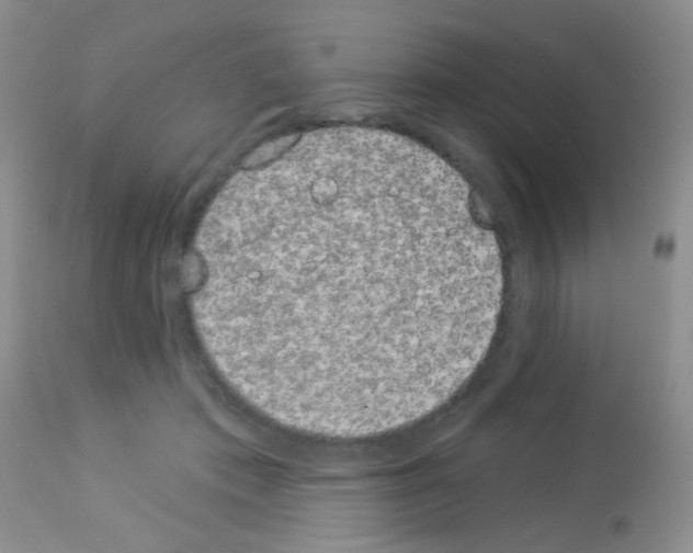 X0000113080413200910091237