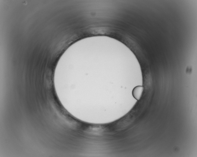 X0000113080414200910091237