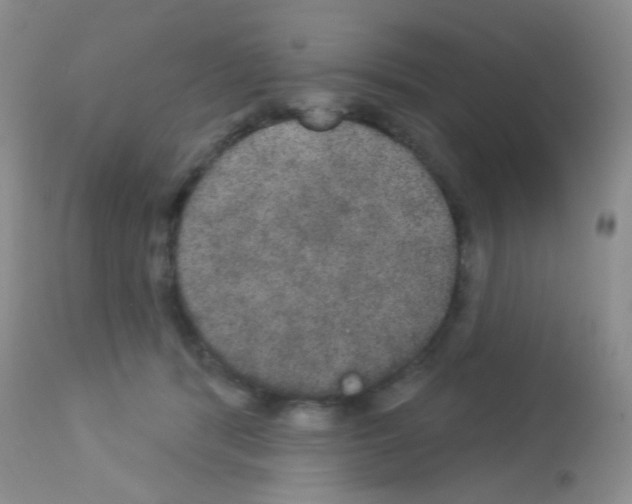 X0000113080416200910091237