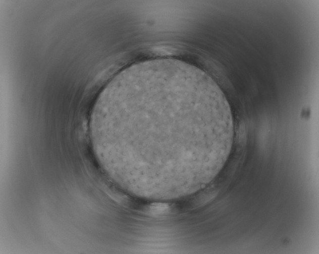 X0000113080418200910091237