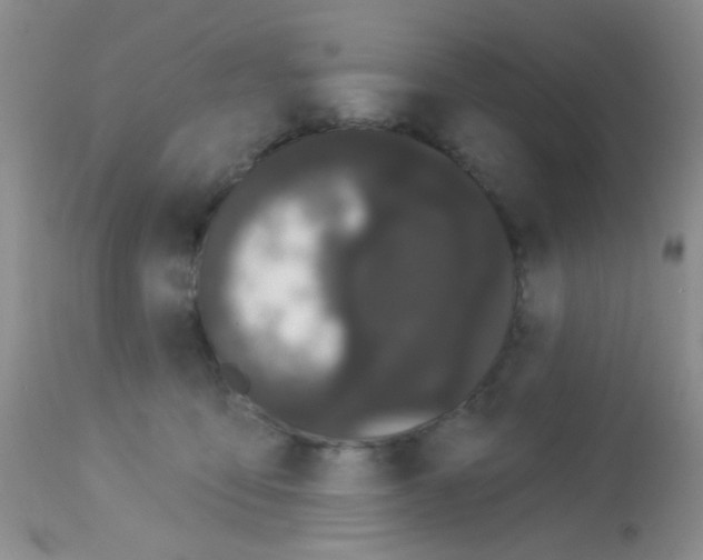 X0000113080419200910091237