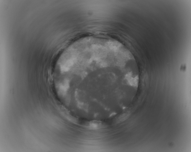 X0000113080420200910091237