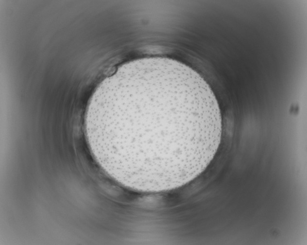 X0000113080422200910091237