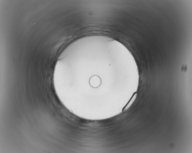 X0000113080423200910091237