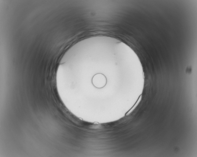 X0000113080425200910091237