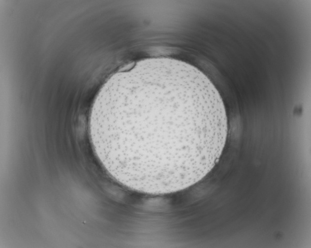 X0000113080426200910091236