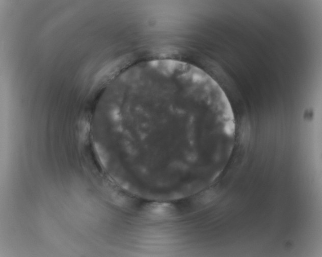 X0000113080427200910091236