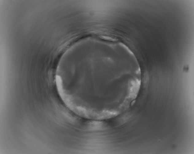 X0000113080428200910091236