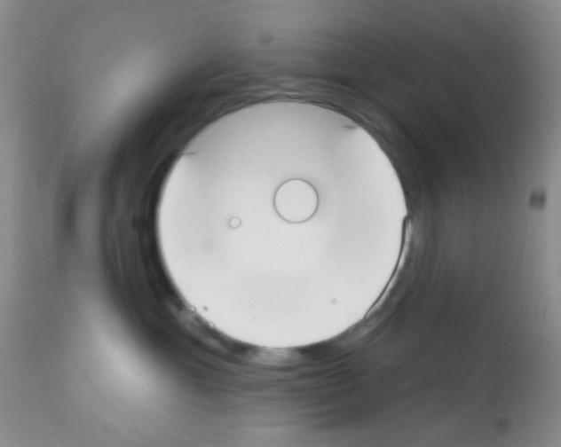 X0000113080429200910091236