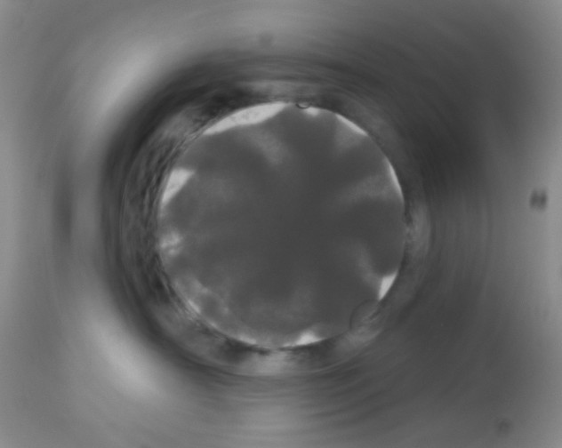 X0000113080430200910091236