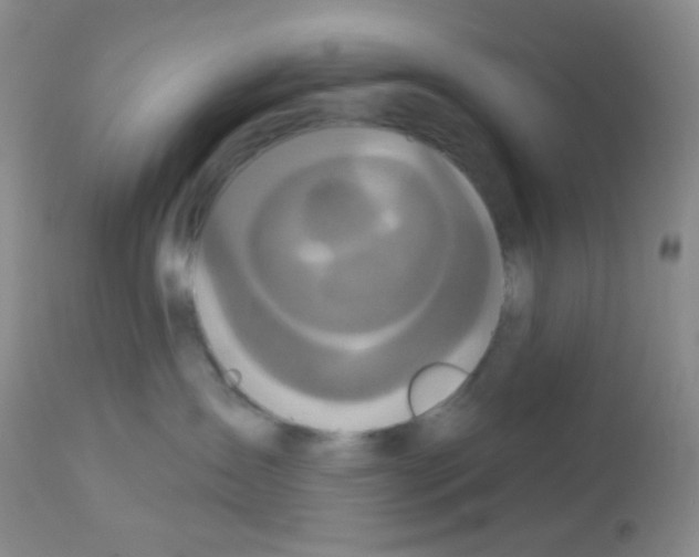 X0000113080431200910091236