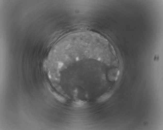 X0000113080432200910091236