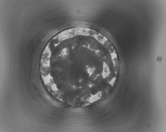 X0000113080433200910091236