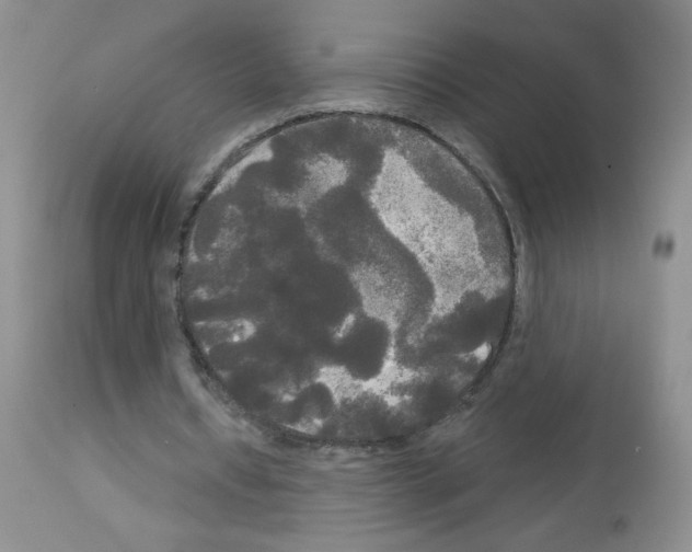 X0000113080434200910091236