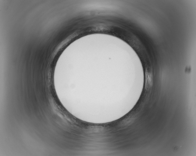X0000113080435200910091236