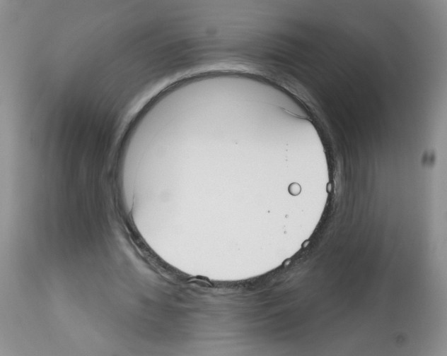 X0000113080436200910091236