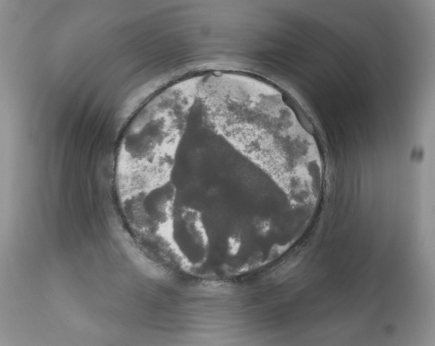 X0000113080437200910091236