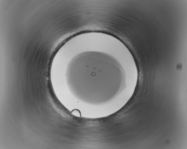 X0000113080438200910091236