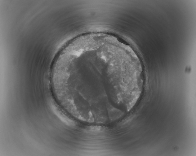 X0000113080439200910091236