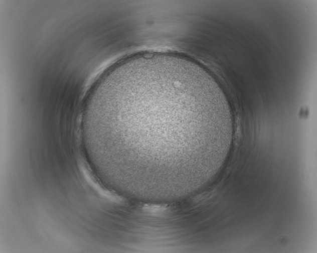 X0000113080440200910091236