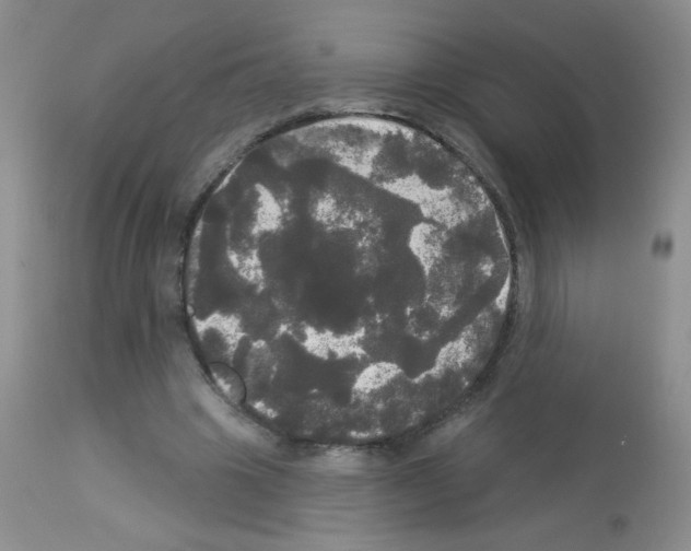 X0000113080441200910091236