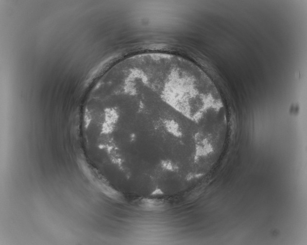 X0000113080442200910091236