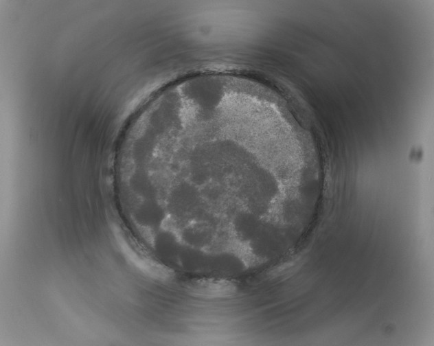 X0000113080443200910091236