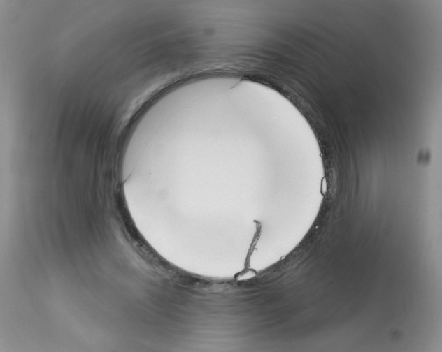 X0000113080444200910091236