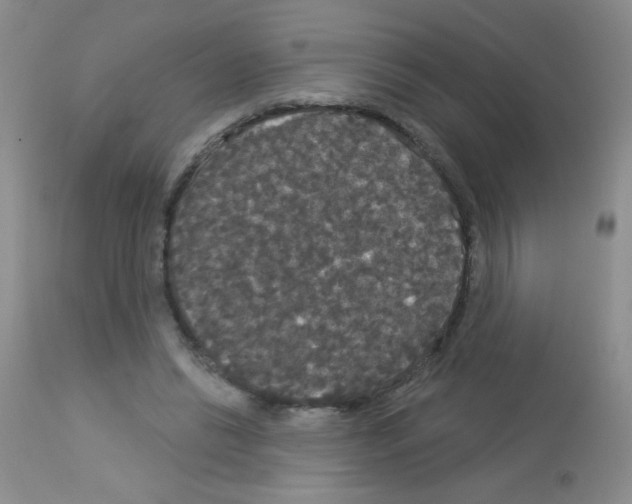 X0000113080446200910091236