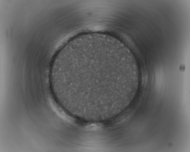 X0000113080447200910091236