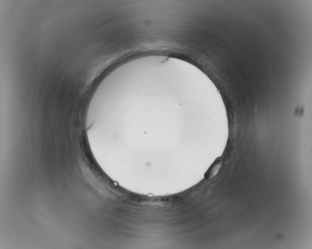 X0000113080448200910091236