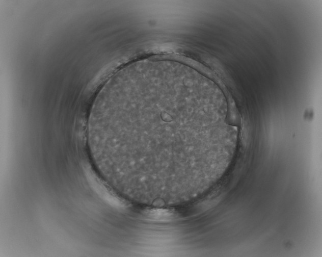 X0000113080449200910091236