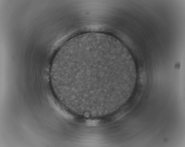 X0000113080450200910091236