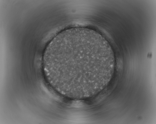 X0000113080451200910091236