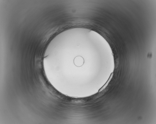 X0000113080452200910091236