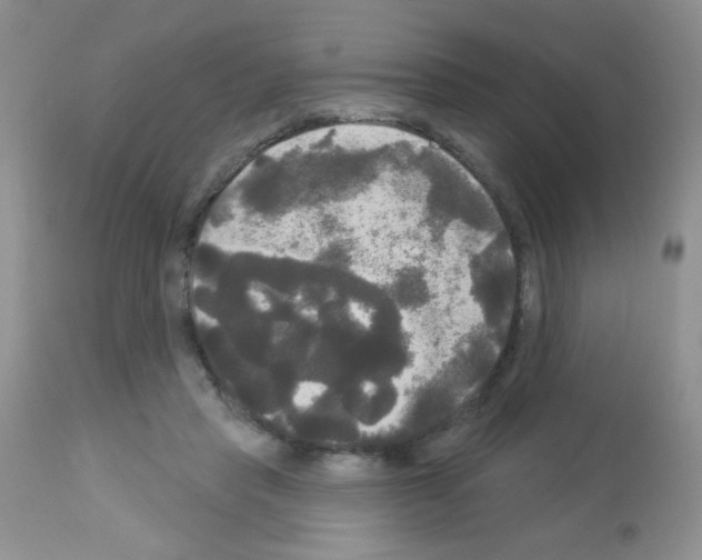 X0000113080453200910091236