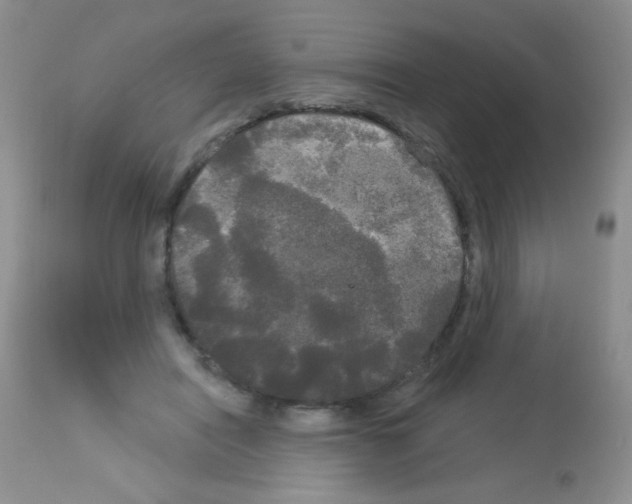 X0000113080454200910091236