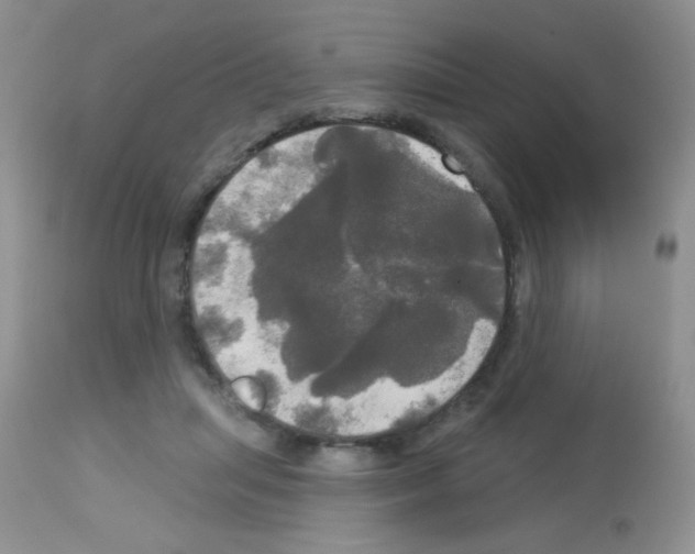 X0000113080455200910091236