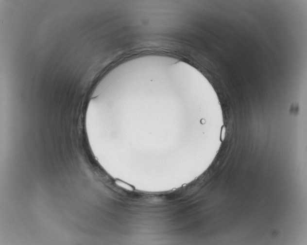X0000113080456200910091236