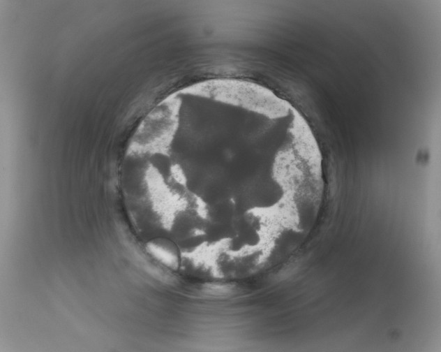 X0000113080457200910091236