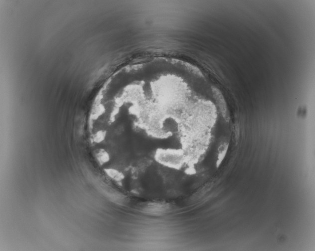 X0000113080458200910091236