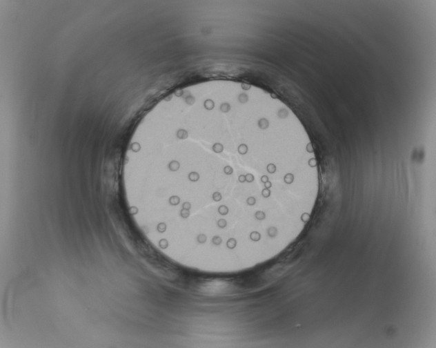 X0000113080460200910091236