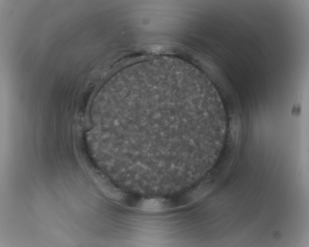 X0000113080461200910091236
