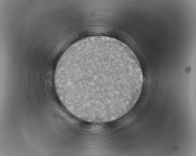 X0000113080462200910091236