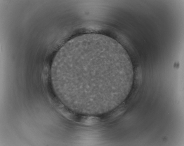 X0000113080463200910091236