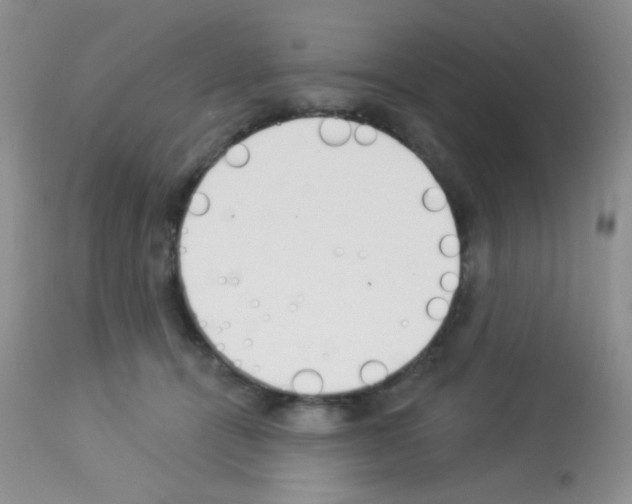X0000113080464200910091236