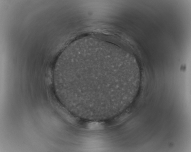 X0000113080465200910091236