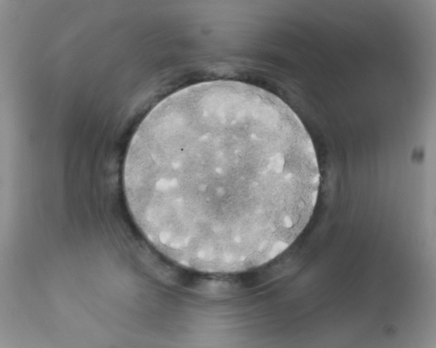 X0000113080466200910091236