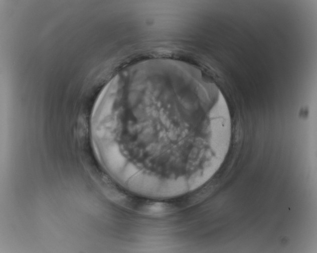 X0000113080467200910091236